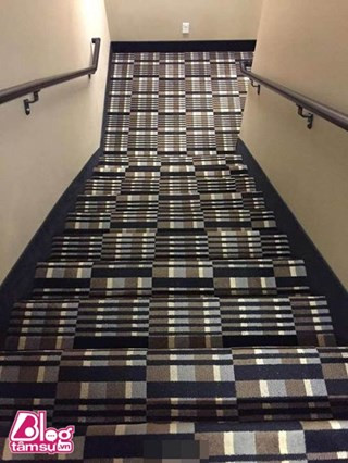 Bạn có chắc không bị lóa mắt khi nhìn bức ảnh này trong 30 giây?