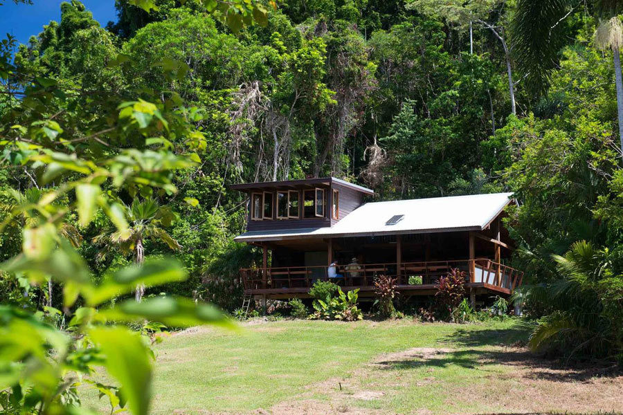 Bo biet thu trieu USD Ha Noi: Dai gia ve rung o an, thanh loc co the-Hinh-2