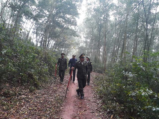 Nhung nguoi don Tet dac biet giua... rung-Hinh-2