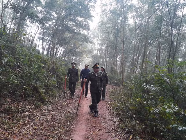 Nhung nguoi don Tet dac biet giua... rung-Hinh-2