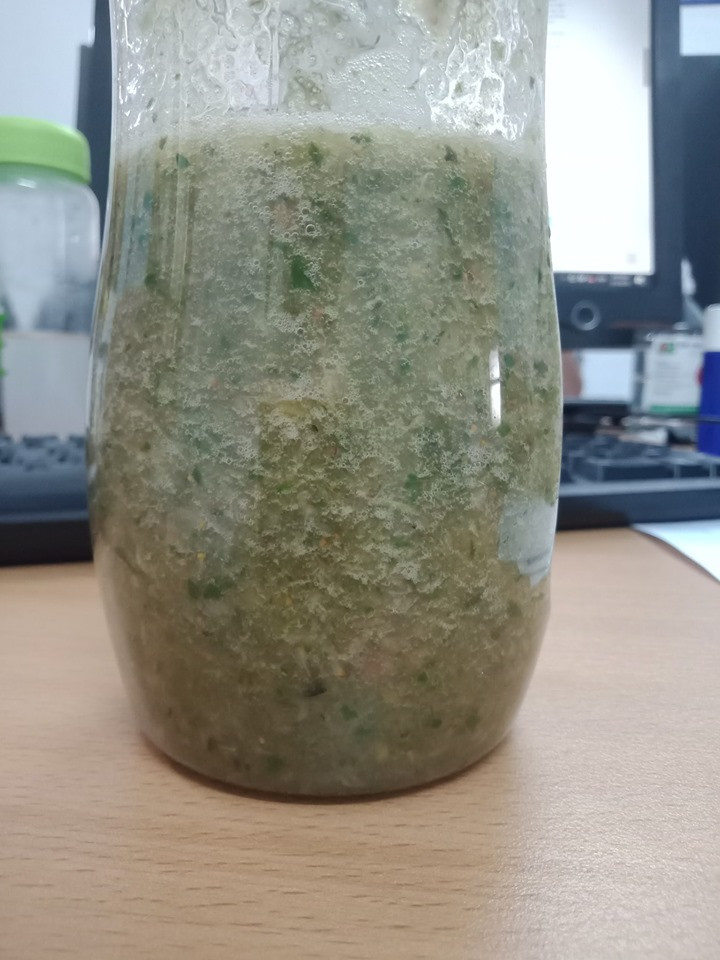 DAY 1: 720 ml nước; 90 gram bó xôi; 2 muỗng hạt chia; 330 gram dứa; 300 gram xoài; 1 trái cam (tách múi, bỏ gân trắng, bỏ vỏ) DAY 2 : 720 ml nước; 90 gram bó xôi; 2 muỗng hạt chia; 1 trái táo (bỏ hạt, giữ vỏ); 2 trái lê (bỏ vỏ, bỏ hạt); 1 trái chuối; 2 trái kiwi; 1 muỗng nước chanh. DAY 3: 720ml nước; 90 gram bó xôi; 2 muỗng hạt chia; 330 gram dứa cắt nhỏ; 1 trái cam (bỏ vỏ, bỏ gân trắng, tách múi); 300 gram dâu tây