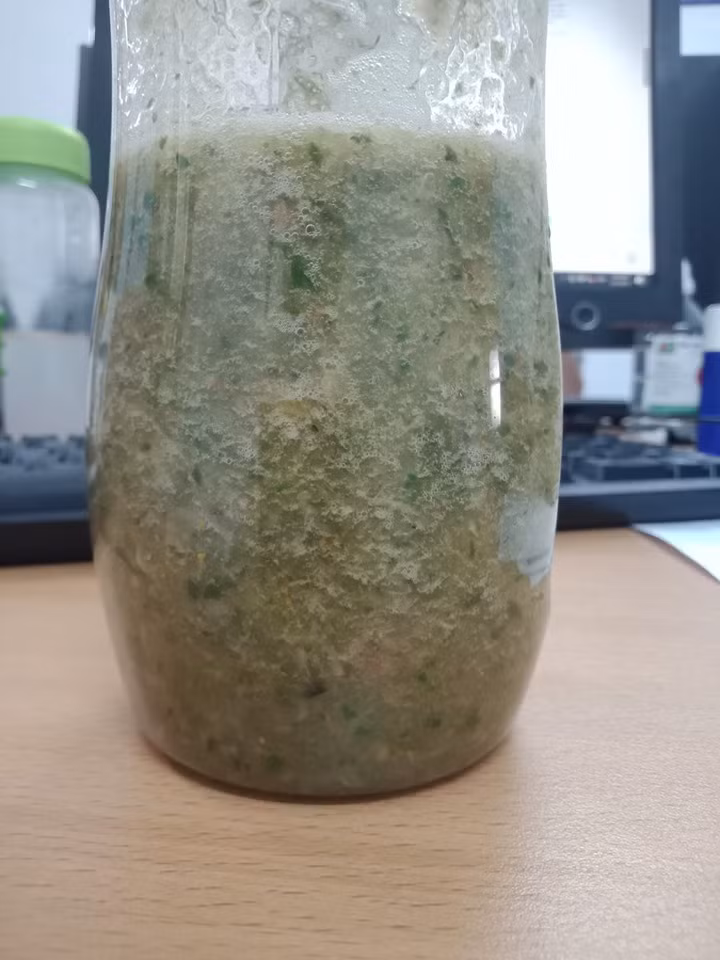 DAY 1: 720 ml nước; 90 gram bó xôi; 2 muỗng hạt chia; 330 gram dứa; 300 gram xoài; 1 trái cam (tách múi, bỏ gân trắng, bỏ vỏ) DAY 2 : 720 ml nước; 90 gram bó xôi; 2 muỗng hạt chia; 1 trái táo (bỏ hạt, giữ vỏ); 2 trái lê (bỏ vỏ, bỏ hạt); 1 trái chuối; 2 trái kiwi; 1 muỗng nước chanh. DAY 3: 720ml nước; 90 gram bó xôi; 2 muỗng hạt chia; 330 gram dứa cắt nhỏ; 1 trái cam (bỏ vỏ, bỏ gân trắng, tách múi); 300 gram dâu tây