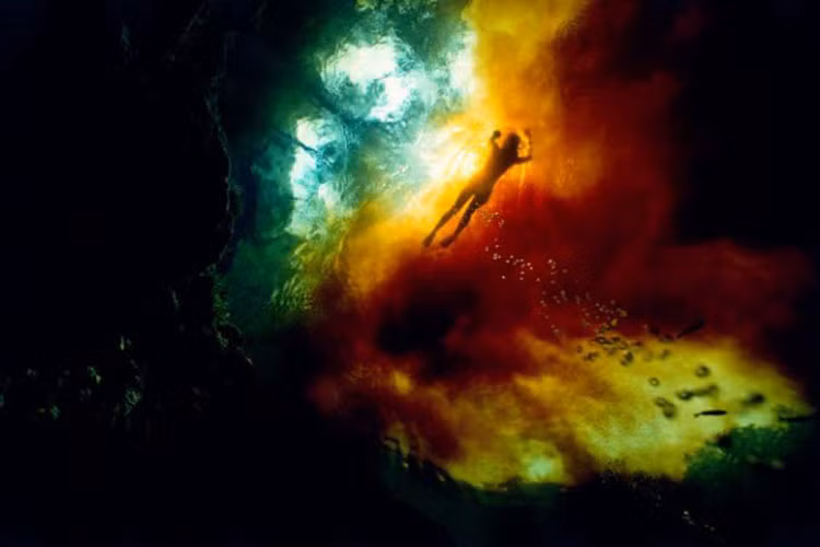 Một người bơi qua điểm gặp nhau giữa sông Sante Fe nhiễm hóa chất Tanin và dòng suối Ginnie với nước trong vắt ở bang Florida, Mỹ.