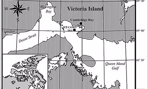 Phat hien quai vat bien co the mo ao nhu tang hinh, 8 chan-Hinh-2