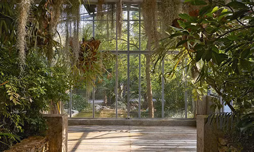 Có khoảng 14.000 loại cây cỏ bên trong các khu vườn của Les Cedres. Ảnh: Ambroise Tezenas