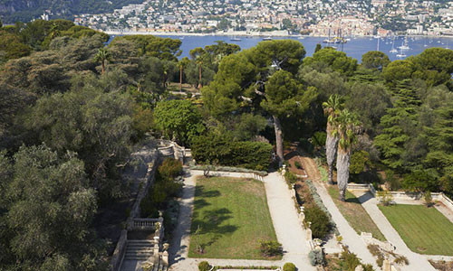 Vườn chính của biệt thự nằm trong top 10 vườn thực vật trên thế giới. Ảnh: Ambroise Tezenas