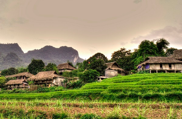 Được mệnh danh là bản đẹp nhất Mai Châu, bản Lác khiến bất cứ ai khi tới Mai Châu đều phải ghé thăm.