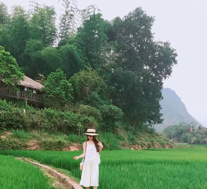 Nhiều bạn trẻ thường lựa chọn nơi này đã tận hưởng và check in mấy kiểu ảnh thiên nhiên núi rừng.