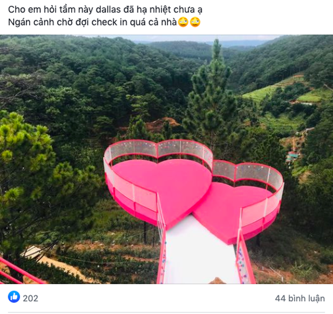 Từ Đà Lạt thân thương bị nhiều người biến đổi thành "Dallas", gây tranh cãi không ít trên mạng xã hội.