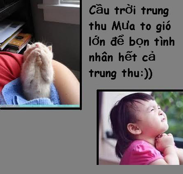Một mùa Trung thu nữa tới, hội F.A lại có dịp chuyền tay nhau những bức ảnh chế hài hước, vui vẻ để các F.A có thể tự san sẻ và vơi đi nỗi buồn sầu thảm thương vì không có người yêu để đi chơi cùng lễ Trung thu năm nay.