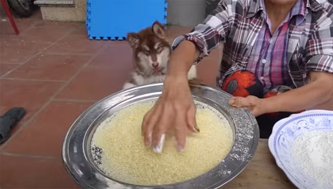 Trước đó, bà Tân cũng không ít lần bị dân tình phản ứng về việc làm đồ ăn mất vệ sinh.