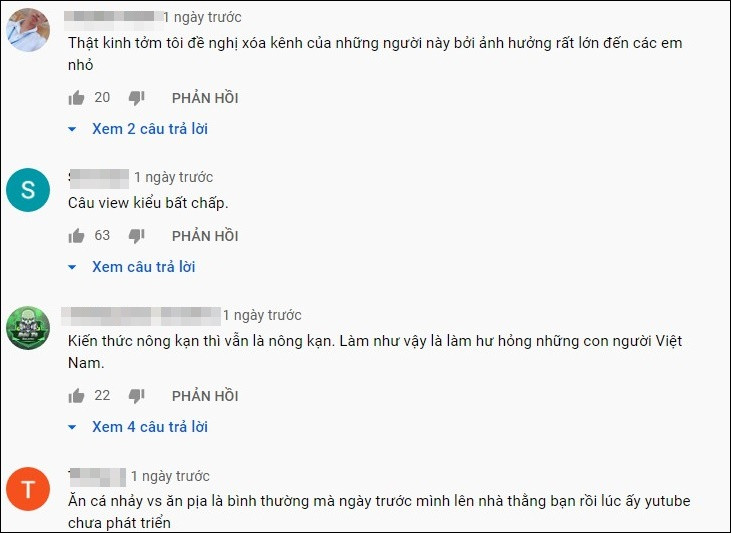 Youtuber Viet lieu co bat chap su phan cam de duoc noi tieng?-Hinh-4