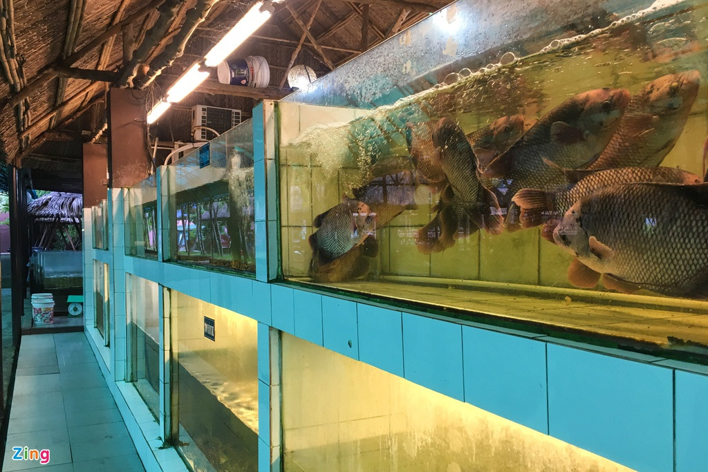 Phía bên trong, nhà hàng chia làm nhiều khu, lên đến hàng nghìn chỗ ngồi. Khu ẩm thực này được giới thiệu phục vụ thực khách các món ăn mang phong cách Nam Bộ, dân dã.