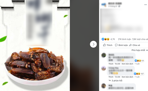 Mới đây, một cửa hàng online ở Trung Quốc bất ngờ giới thiệu món snack gián là mặt hàng mới trong mùa thu lên MXH khiến dân mạng ám ảnh.