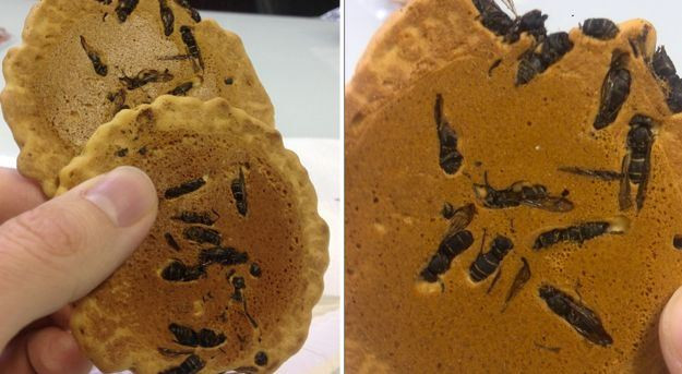 Ngoài những món làm từ gián, trên thế giới đã xuất hiện khá nhiều món ăn từ côn trùng hết sức ám ảnh nhiều người.