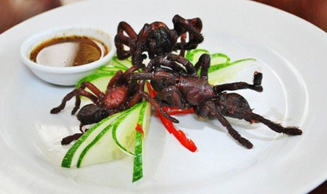 Những chú nhện lông lá lại là ẩm thực độc đáo của người Campuchia. Chúng thường được chiên lên và mùi vị cũng rất thơm ngon.