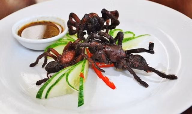 Những chú nhện lông lá lại là ẩm thực độc đáo của người Campuchia. Chúng thường được chiên lên và mùi vị cũng rất thơm ngon.