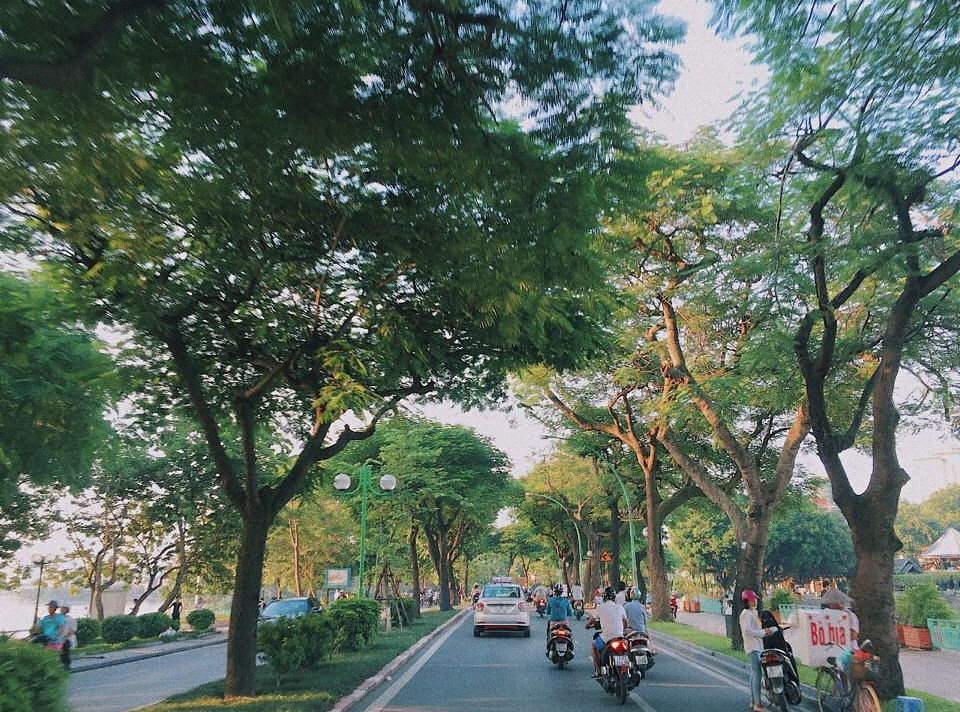 Đường Thanh Niên là con đường nằm dọc giữa hồ Tây và hồ Trúc Bạch. Mùa hè đi qua đây thì siêu mát còn sang thu thì nơi đây là địa điểm lý tưởng dành cho các cặp đôi.