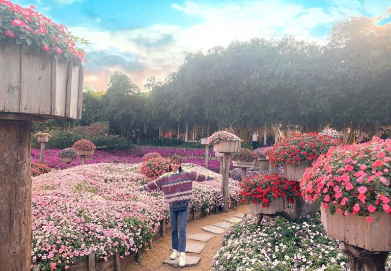 Thung lũng hoa hồ Tây chắc chắn là một địa điểm checkin hồ Tây quá quen thuộc. Với những bạn trẻ đam mê chụp ảnh thì không thể bỏ qua những bộ ảnh cúc họa mi xinh lung linh tại đây.