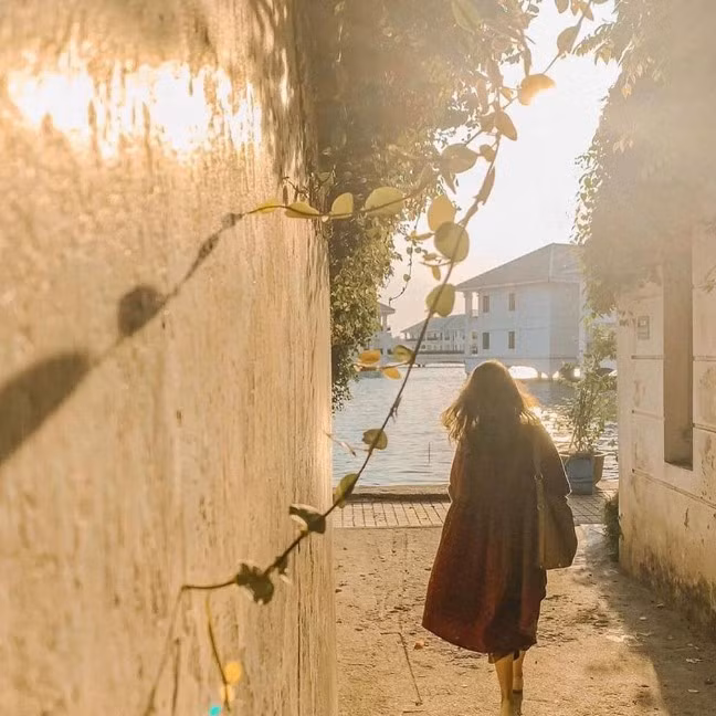 Dạo gần đây, người dùng Facebook được dịp trầm trồ trước những bức hình chụp tại một con ngõ nhỏ dẫn ra Hồ Tây đầy thơ mộng. Được biết, góc sống ảo Hồ Tây này nằm ở khu cổng ngoài, đoạn rẽ vào khách sạn InterContinental Hanoi tại ngõ 5, ngách 38, phố Từ Hoa, quận Tây Hồ, Hà Nội.