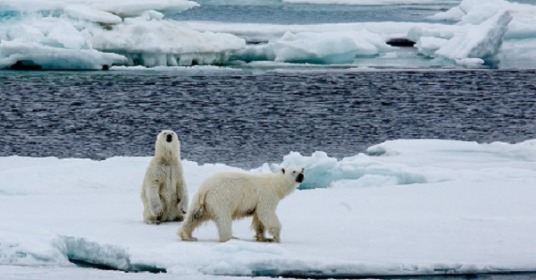 Việc một lượng lớn carbon và khí metan được giải phóng khỏi băng vĩnh cửu không hẳn là do lỗi của con người. Hiện tượng này đã bắt đầu sau thời kỳ cực đại Băng hà cuối cùng, vào khoảng 20000 năm trước.