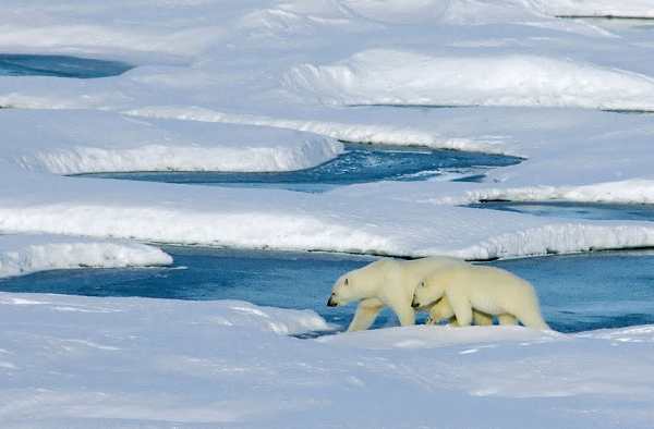 Trong 300 năm tới, các chuyên gia tính toán tỷ lệ phát thải khí nhà kính từ lớp băng vĩnh cửu dưới đáy biển sẽ tăng lên đáng kể nếu lượng khí thải carbon từ các hoạt động của con người vẫn tiếp diễn như bình thường.