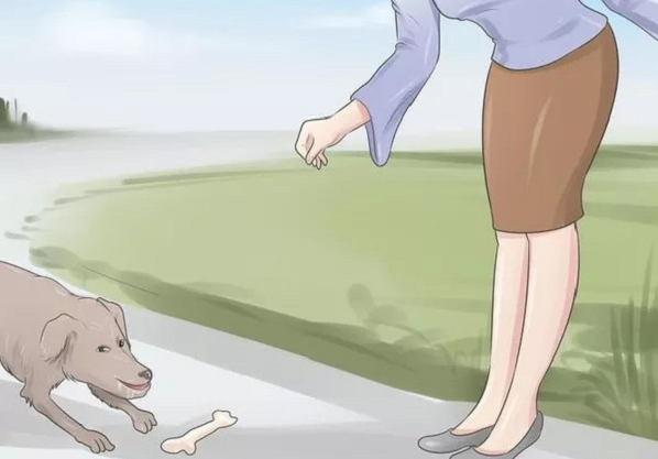 Tiếp theo, cần tránh nhìn thẳng vào mắt chó. Hầu hết chúng ta, dù có giữ bình tĩnh cũng không thể tránh khỏi cảm giác sợ hãi. Vì thế, việc nhìn vào mắt một chú chó hung dữ có thể khiến nó cảm nhận được bạn đang lo lắng.