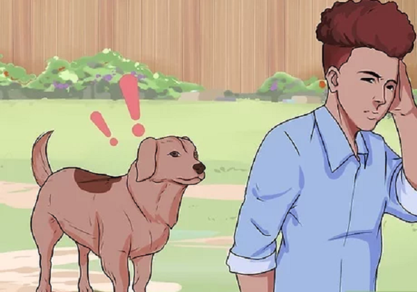 Nếu bạn giáp mặt một con Pitbull hung dữ thì cần phải luôn nhớ điều này: Phải thật bình tĩnh. Rất nhiều nghiên cứu đã cho biết, chó có thể cảm nhận được sự sợ hãi hoặc lo lắng của con mồi và điều đó khiến chúng hung hăng hơn.