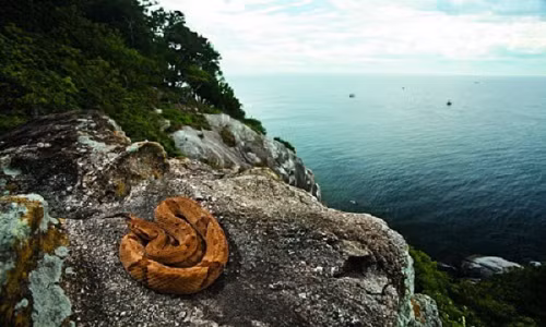 Ở đây tồn tại một lời đồn rằng từng có một ngư dân dám đi đến gần bờ của hòn đảo và vài ngày sau, ông được tìm thấy chết trong chính chiếc thuyền mình giữa một vũng máu lênh láng. Được biết, đây cũng là người cuối cùng đến gần hòn đảo.