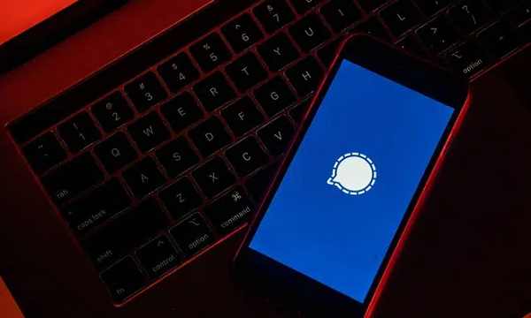 Không lâu sau dòng tweet "Use Signal" của ông Musk, ứng dụng Signal cho biết, lượng người dùng đăng ký mới quá đông đã làm nghẽn hệ thống gửi mã xác thực và phải mất nhiều thời gian hơn họ mới có thể đăng ký được tài khoản mới.