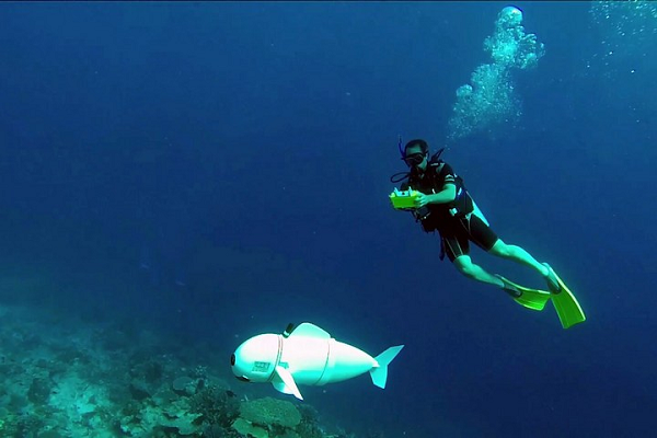 Theo các kỹ sư, những robot khảo sát môi trường biển khác có thể phá vỡ môi trường tự nhiên.