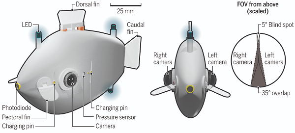 Trong một cuộc thử nghiệm, ông Berlinger mô tả những con cá robot được thả khắp bể nước để tìm kiếm nguồn sáng. Khi một con phát hiện ra ánh sáng, đèn LED gắn trên thân nó sẽ nhấp nháy, phát tín hiệu đến các con cá khác trong đàn để cùng tụ tập quanh ánh sáng đó.