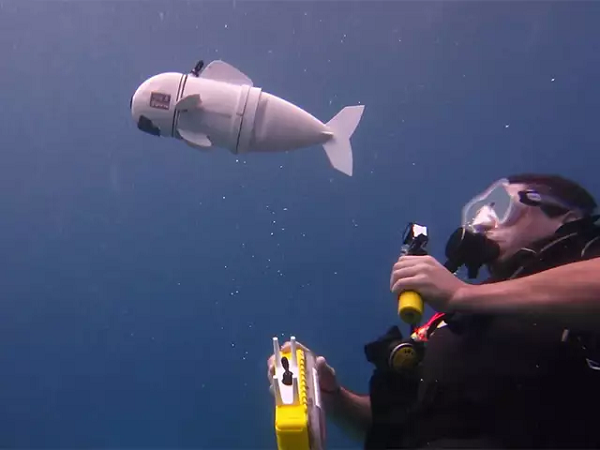 Tuy nhiên, SoFi có hình dạng cá nên sẽ thân thiện hơn và không làm những con cá khác hoảng sợ.