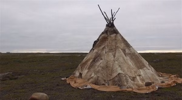 Khi mùa xuân đến, ngoài trời bớt lạnh giá, người Eskimo lại dựng những căn lều rộng có cột gỗ ở giữa, xung quanh quây da tuần lộc, ở được cả chục người. Những căn lều da nằm san sát nhau tạo nên một ngôi làng nhỏ chừng 300-400 người.