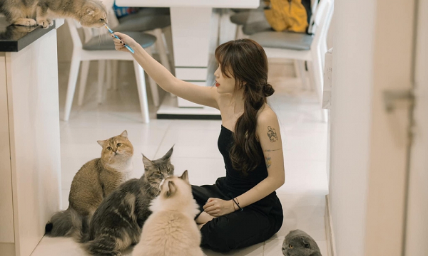 Vừa qua, Linh Ngọc Đàm còn khiến các "tín đồ yêu mèo" phấn khích khi thông báo mở một quán cà phê dành riêng cho mèo tại TP.HCM.