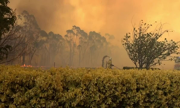 Theo Tổ chức Khí tượng Thế giới (WMO), nhiệt độ trung bình toàn cầu từ tháng 1 - 10 năm nay cao hơn khoảng 1,2 độ C so với nền nhiệt giai đoạn năm 1850 - 1900.