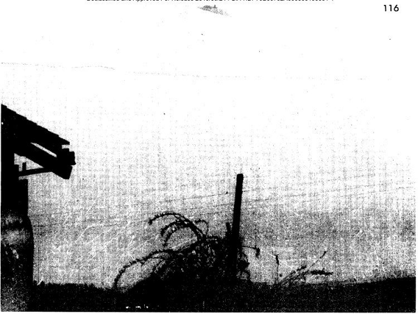 Trả lời phỏng vấn từ nhà riêng tại Miami, bang Florida, Torres nói ông chưa bao giờ nhìn thấy UFO bằng mắt thường nhưng đã nhìn thấy nó trên màn hình radar của máy bay. Vật thể bay bí ẩn đã lao đi mất trước khi ông có cơ hội bắn nó.