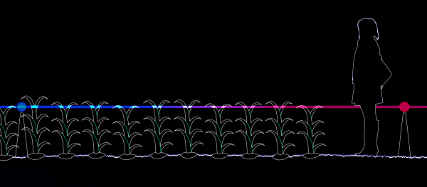 GROW hiện mới xuất hiện ở thành phố Lelystad của Hà Lan, nhưng Roosegaarde đang có kế hoạch mở rộng dự án này trên các con đường của hơn 40 quốc gia. Mỗi quốc gia sẽ có những loài cây trồng địa phương khác nhau và công thức ánh sáng độc đáo riêng.