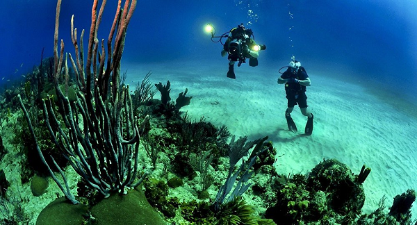 Ở Trái đất, chính nhờ các đới hút chìm mà vỏ lục địa được tạo ra và nhô lên từ đại dương. Chính vì thế, nếu không có các đới hút chìm và vùng hadal, cho đến bây giờ, tất cả mọi nơi trên mặt đất cũng vẫn còn chìm trong nước. Con người sẽ không bao giờ có thể xuất hiện.