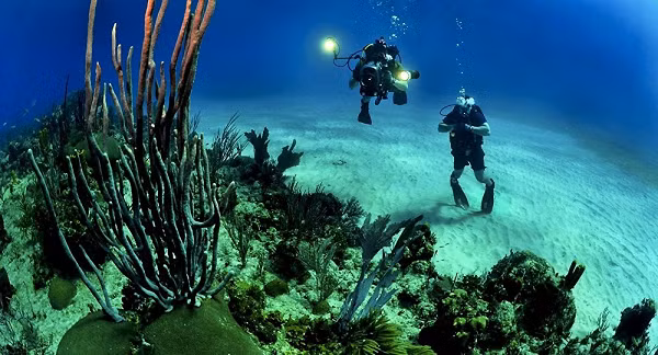 Ở Trái đất, chính nhờ các đới hút chìm mà vỏ lục địa được tạo ra và nhô lên từ đại dương. Chính vì thế, nếu không có các đới hút chìm và vùng hadal, cho đến bây giờ, tất cả mọi nơi trên mặt đất cũng vẫn còn chìm trong nước. Con người sẽ không bao giờ có thể xuất hiện.