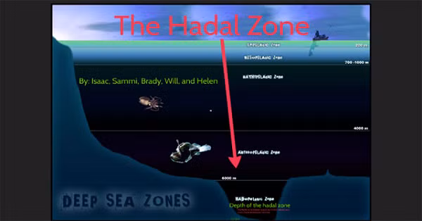 Các nhà khoa học hiện nay phân chia những vùng biển có độ sâu lớn hơn 200m vào mục “ biển sâu". Điểm sâu nhất dưới đáy đại dương có tên gọi là “Điểm thách thức” (Challenger Deep) nằm trong rãnh Mariana ở phía tây Thái Bình Dương, nơi có độ sâu lên đến hơn 11.000m.