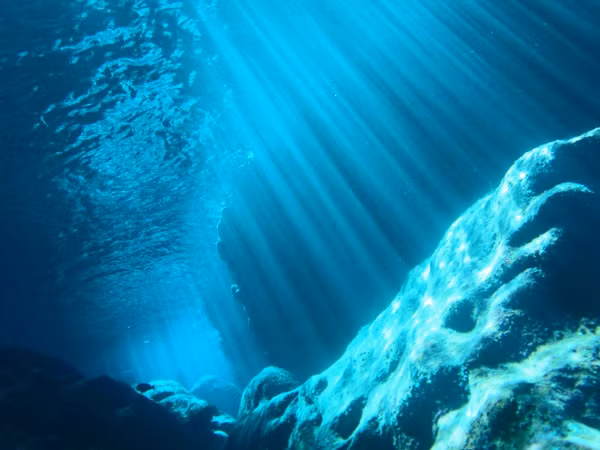 Vùng hadal bao gồm một loạt các rãnh kiến tạo rời rạc và những điểm sụt lún bất thường. Có tổng cộng 46 vùng hadal trên toàn thế giới, bao gồm 33 rãnh và 13 mảng sâu.