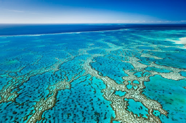 Tuy nhiên, đá bọt nổi dày đặc cũng có thể gây nguy hiểm cho tàu thuyền vì thành phần cấu tạo trong loại đá này có thể làm tắc nghẽn các động cơ.