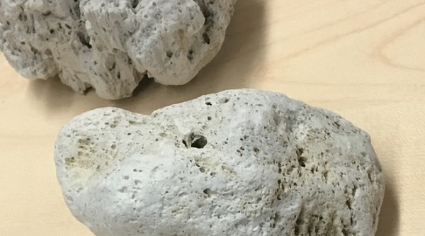 Để khám phá điều kỳ lạ đằng sau những hòn đá bọt tự nổi trên măt nước, các nhà khoa học đã sử dụng tia X để tìm ra những bí ẩn đằng sau một số tảng đá trôi nổi trên mặt nước trong nhiều năm. Một nhóm nghiên cứu tại Phòng thí nghiệm Quốc gia Lawrence Berkeley (Berkeley Lab) ở Mỹ đã quét các mẫu đá núi lửa nhẹ, thủy tinh và xốp có tên là đá bọt.