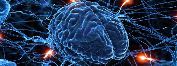 Họ cho những nghi phạm của vụ án xem những bức ảnh chụp lại vụ việc và theo dõi các thay đổi trong sóng não của mỗi cá nhân khi họ nhìn thấy những bức ảnh về hiện trường vụ án và vũ khí giết người. 