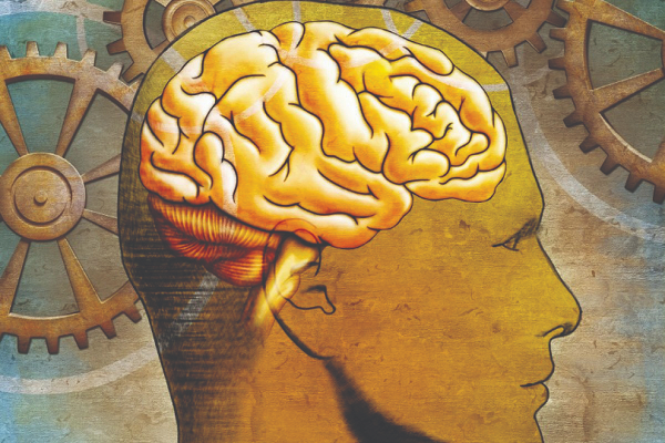 Khi được nhìn lại hình ảnh của các vụ việc đó, những người đã có mặt ở hiện trường vụ án sẽ tạo ra các thay đổi trong sóng não và có thể sử dụng để làm bằng chứng.