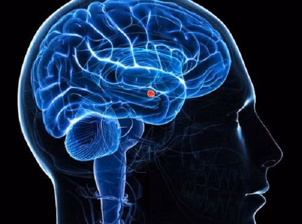 Mới đây, cảnh sát của Dubai còn đạt được bước đột phá lớn khi sử dụng "dấu vân tay trong não" để bắt giữ kẻ giết người bằng cách nhìn sâu vào trong tâm trí của nghi phạm, để từ đó tìm ra bằng chứng tội phạm trong kỷ niệm còn lưu giữ lại.