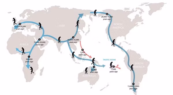 Dân số loài ăn cỏ ở vùng thảo nguyên ma mút nhanh chóng sụt giảm, nhiều loài thậm chí tuyệt chủng. Điều đó đã tạo nên hiệu ứng domino mà đỉnh điểm là hình thành nên một hệ sinh thái hoàn toàn mới.