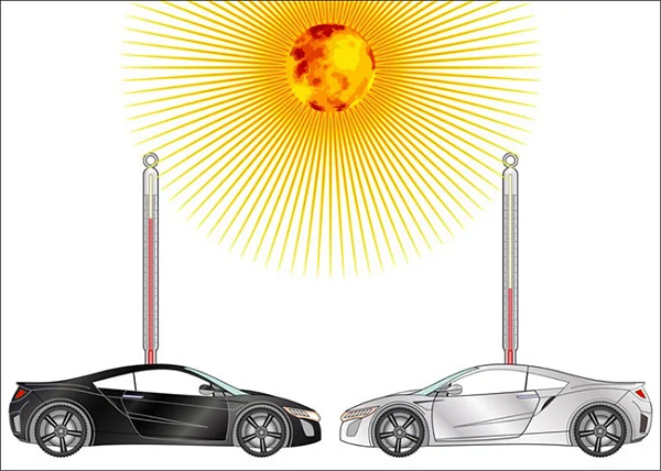 Sáng kiến của Zimov đã đạt được thành công to lớn, khi mà các loài động vật cho đến này đã tạo nên những tác động đáng kể đến thảm thực vật trong các khu vực rào kín của công viên Pleistocene trong suốt 20 năm tồn tại.