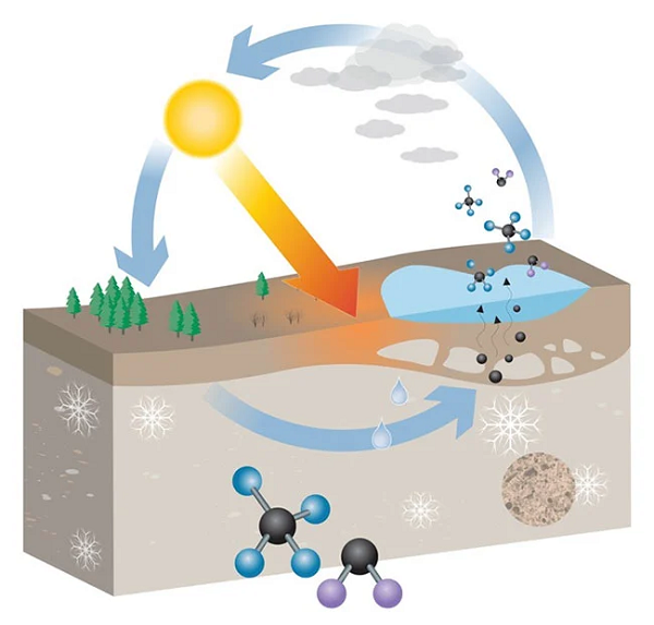 Các nhà khoa học tin rằng khôi phục lại hệ sinh thái đồng cỏ ở Bắc cực có thể đảo ngược xu hướng này. Nhằm giải thích tầm quan trọng của việc khôi phục hệ sinh thái đồng cỏ, Giám đốc của Trạm khoa học Đông Bắc nước Nga, Sergei Zimov, đã thành lập Công viên Pleistocene ở phía Bắc Siberia.